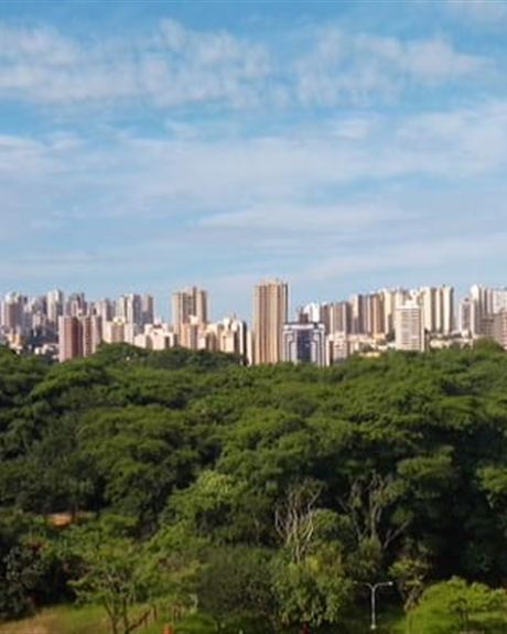 Zona Sul de Ribeirão Preto vista do Parque Curupira