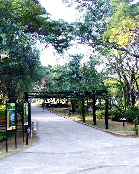 Parque Ecológico Jardim Piratininga, em Osasco